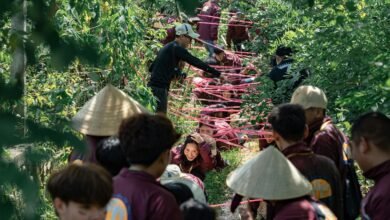 growth strategy for numbers