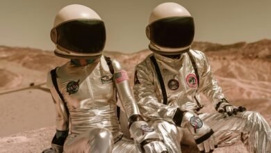 opportunity horizon review summary